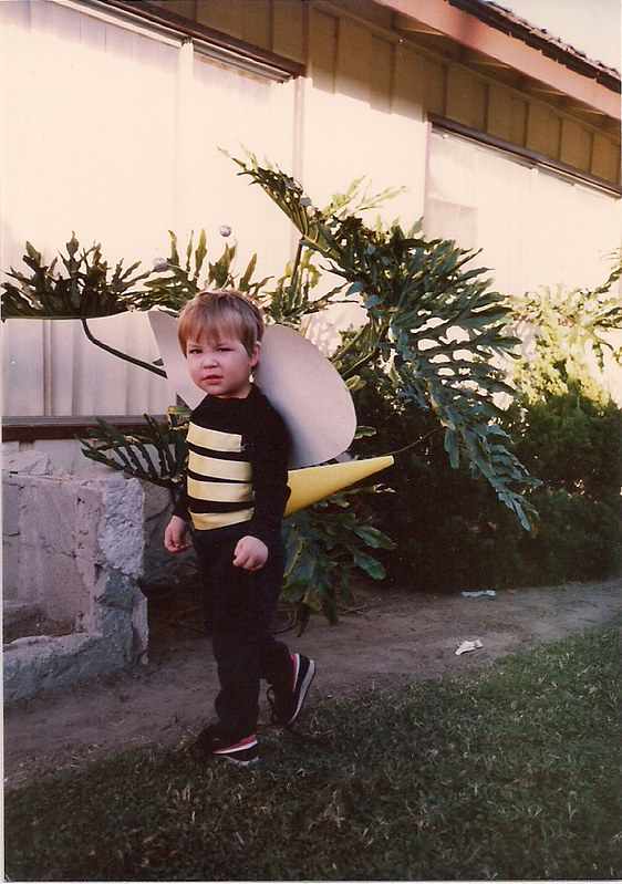 1987 bumble bee costume
