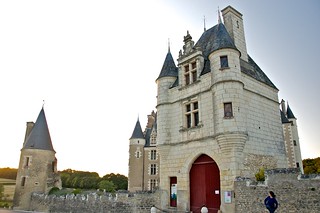 Día 5. Loches (mercado),  Chenonceaux, Montrichard, Chaumont-Sur-Loire y más - Valle del Loira y parte de Bretaña visitando Mont Saint Michel (20)