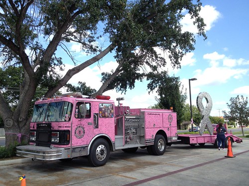Pink Heals Tour Truck & Ribbon