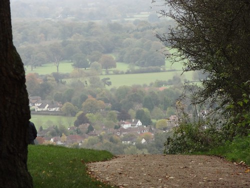 View of Surrey Hills
