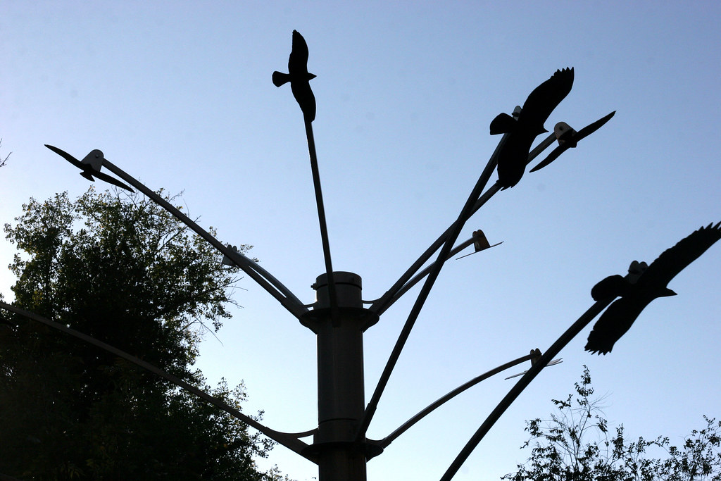 aviary sculpture