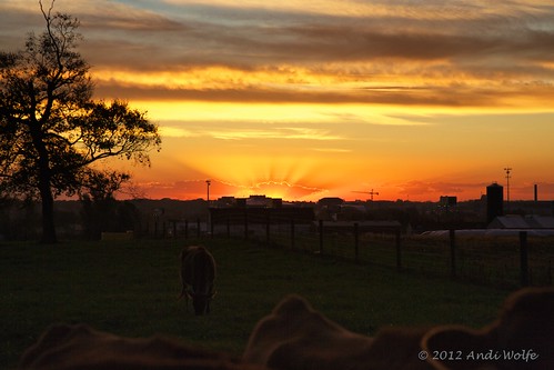 Waterman Farm sunrise by andiwolfe