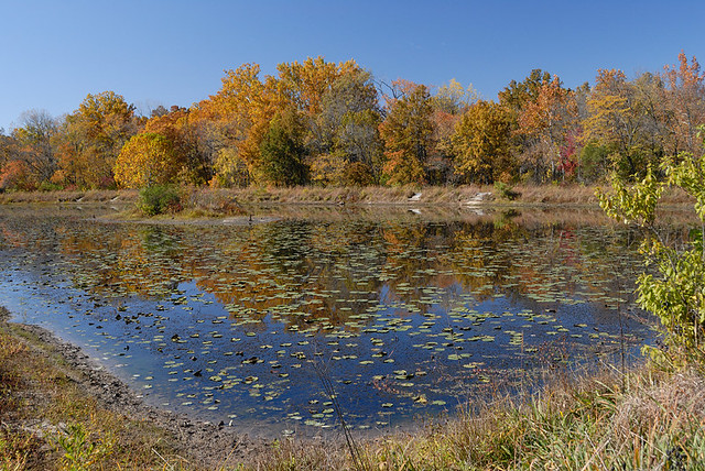 Shaw Nature Reserve (the Arboretum), in Gray Summit, Missouri, USA - lake 2