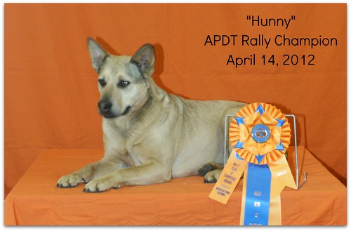 Hunny is picture with medals from winning a rally.