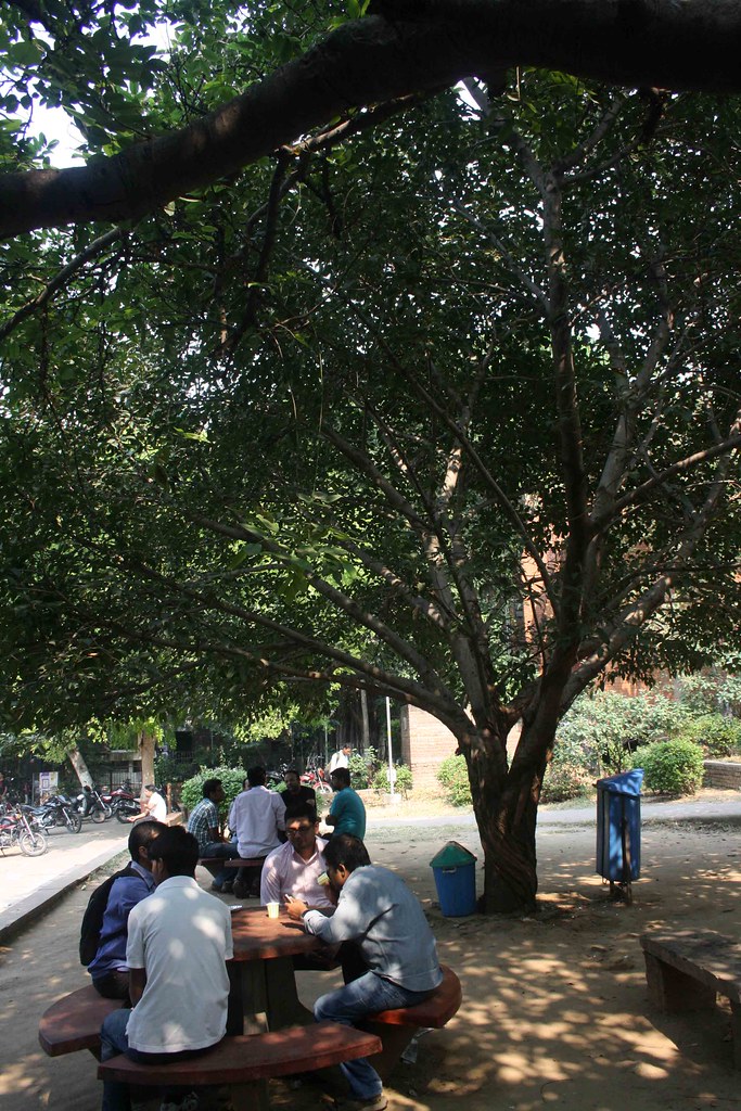 City Landmark - Jawaharlal Nehru University, South Delhi