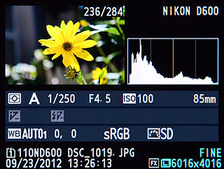 Nikon D600 playback histogram how to use learn manual guide tutorial book
