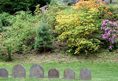 Mount Auburn Cemetery, May 2016