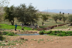 Al-Auja小城附近的貝多因游牧民族聚落。