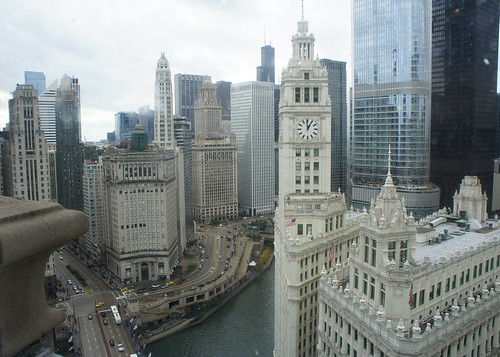 A View from the Top of the Trib