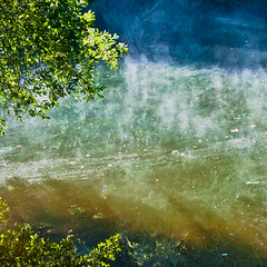 vaporeux photo eau arbre