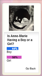Boy or Girl Poll from Blog