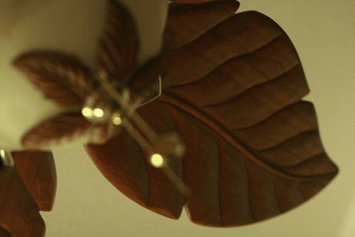 1.15 - Leafy Fan