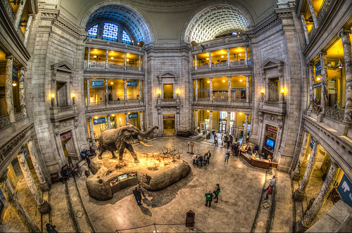 Natural History Museum: 3 exposure handheld HDR