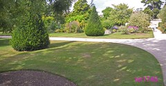 Oxford Botanic Garden August 2016