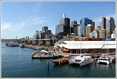 Our trip to Darling Harbour and Sydney Aquarium