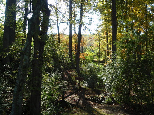 arboretum trails
