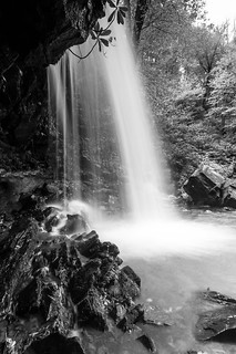 Grotto Falls (B&W)