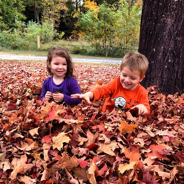 We had an awesome day with our niece and nephew. First we played in the leaves!