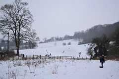 Sledging at Banstead Woods