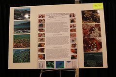Study of a Hawaiian Coral Reef