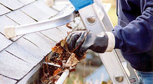 Gutter cleaning will keep your roof and the rest of your home much healthier.