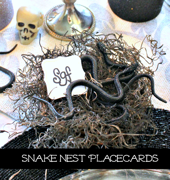 Snake Nest placecards