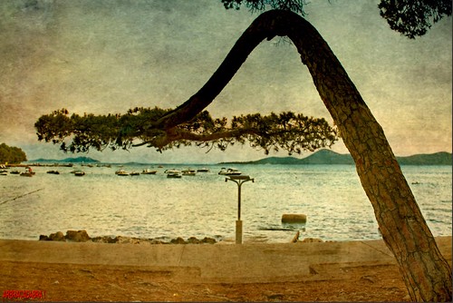 LA DOUCHE DE PLAGE / THE BEACH SHOWER by régisa
