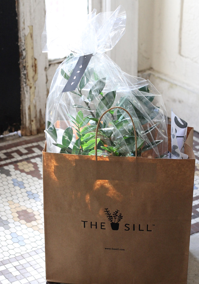 the sill - bag