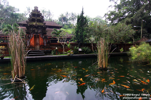 Tirtha Empul Temple Fish Pond