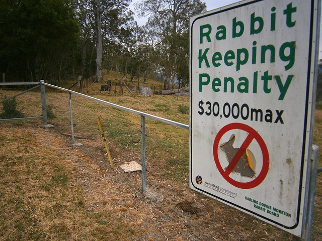 Rabbit Fence