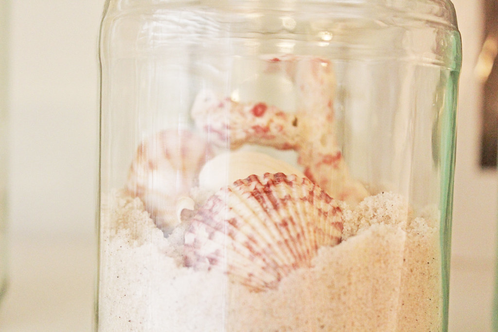 shells in jar