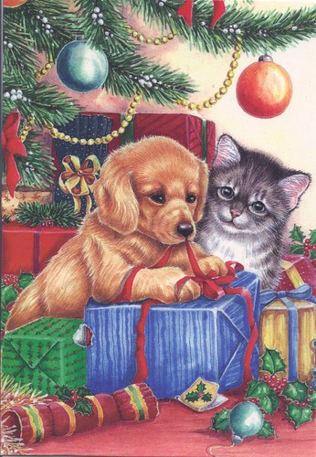 Kitten & Puppy at Christmas