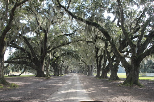 the entrance to tomotley plantation