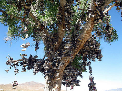 shoe tree, Nevada