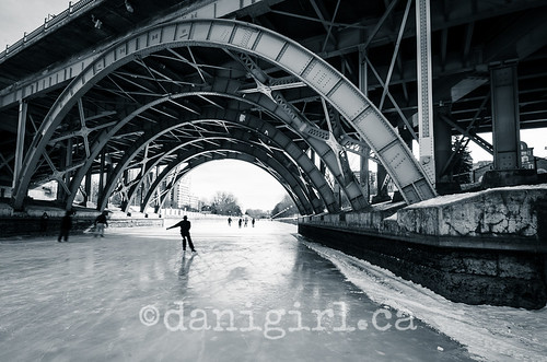 Skaters on the Rideau Canal 2