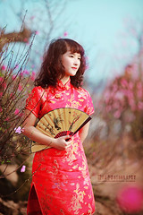 Chinese Lady ( 01-02-2013 )