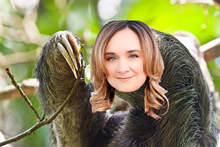 Sloth Beth