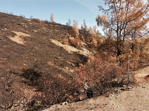 Aftermath of Colusa and Lake County fires