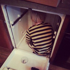 The family engineer fixing the dishwasher.