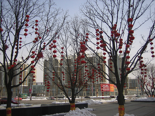 IMG_7629 - Winter in Shenyang, China, February 2010