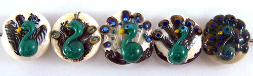 peacock design sequence 3