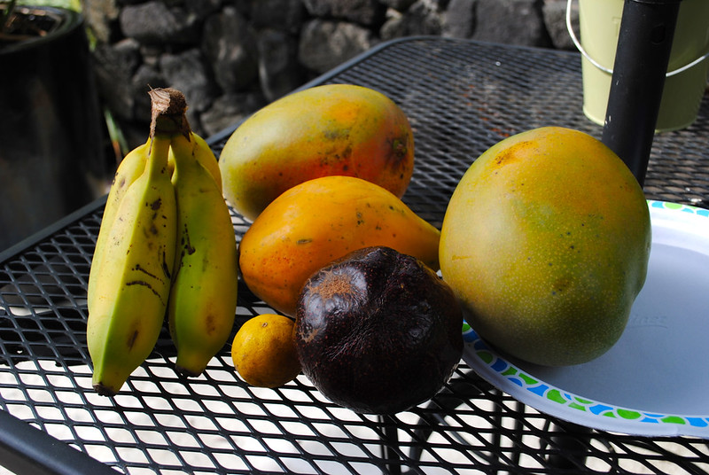 Fresh Hawaiian Fruit