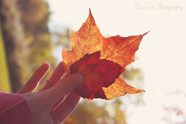 {evoke} Autumn