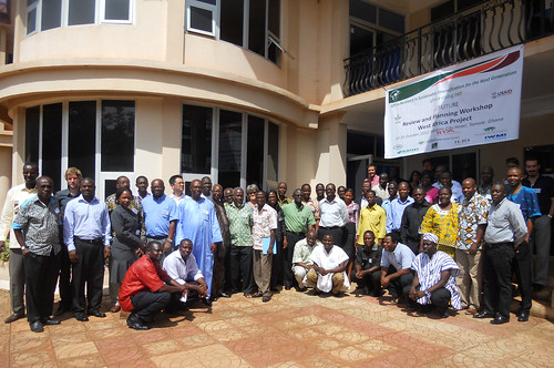 West Africa review and planning workshop 2012 participants (credit: IITA / Kathy Lopez)