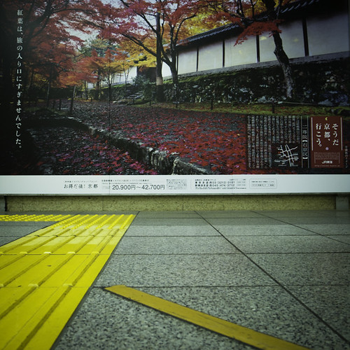 Yellow Road Leads to Autumn in Nihonbashi Station