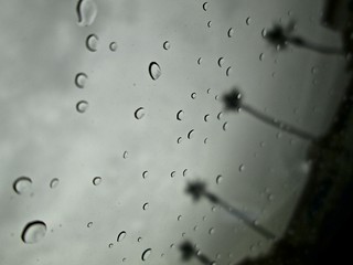 1.24 - Desert Rain