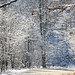 2012-12-30 Iroquois Snow -1