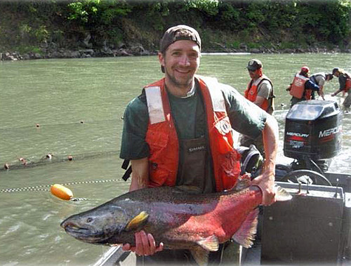 Service fisheries biologist Jeff Jolley with a returning White Salmon River fall Chinook Salmon. Removal of the 100-year-old Condit Dam opened new spawning and rearing grounds for salmon and to steelhead. (US Fish and Wildlife Service photo).