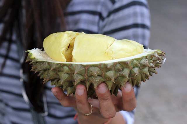 Monthong durian at the fruit buffet