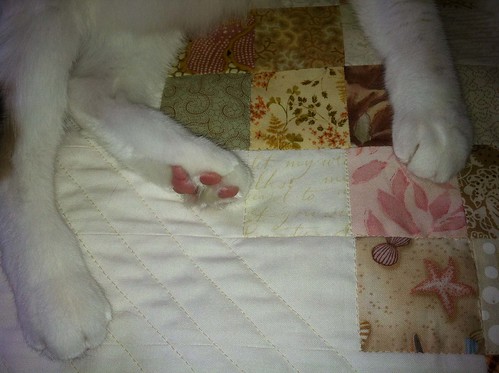 low volume quilting w: paws